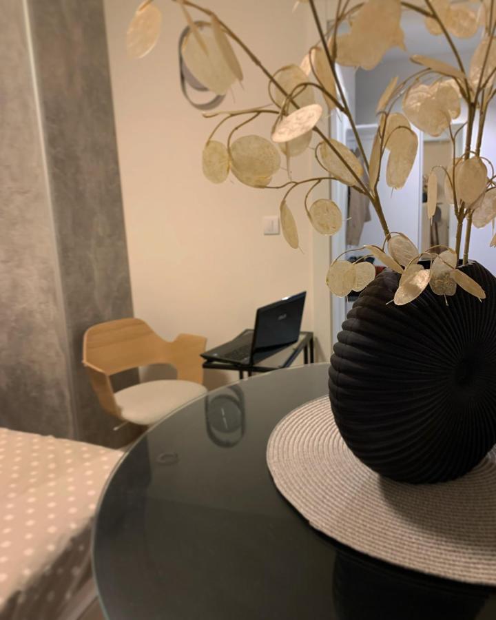 Dm Apartman Beograd Exteriör bild